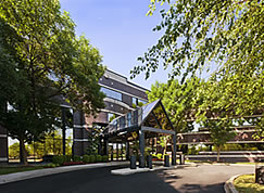 Springs Medical Office Complex